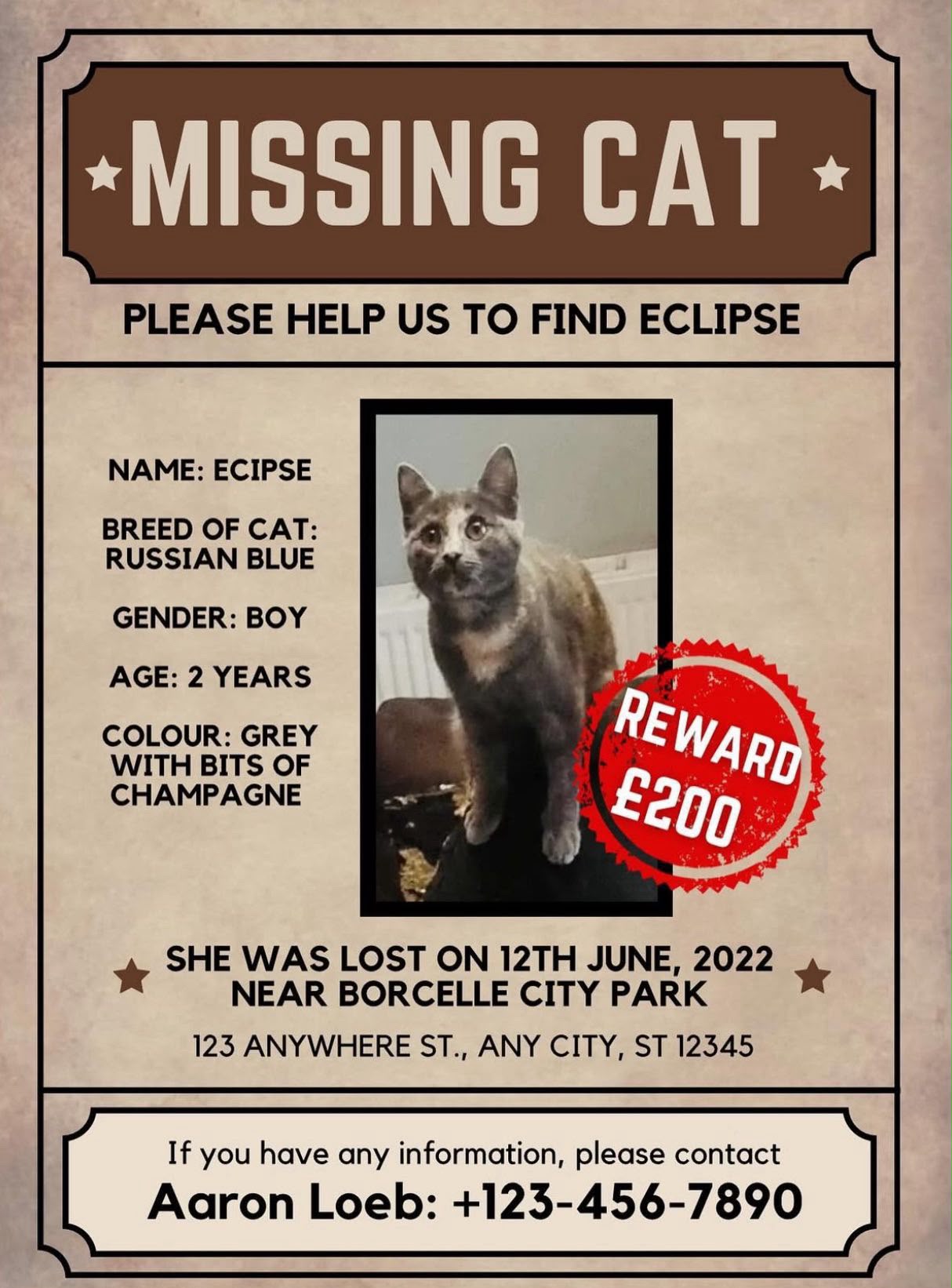 Missing cat poster for a grey cat named Eclipse, with a reward stamp